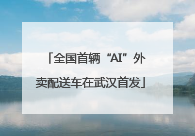 全国首辆“AI”外卖配送车在武汉首发