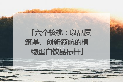 六个核桃：以品质筑基、创新领航的植物蛋白饮品标杆