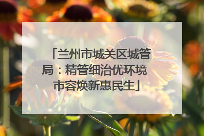 兰州市城关区城管局：精管细治优环境 市容焕新惠民生