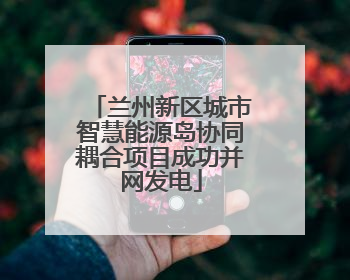 兰州新区城市智慧能源岛协同耦合项目成功并网发电