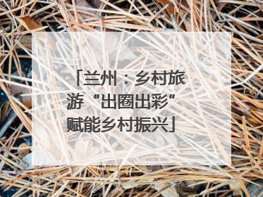 兰州：乡村旅游“出圈出彩”赋能乡村振兴