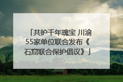 共护千年瑰宝 川渝55家单位联合发布《石窟联合保护倡议》