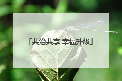 共治共享 幸福升级