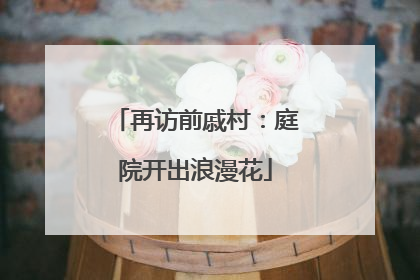再访前戚村：庭院开出浪漫花