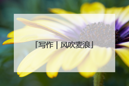 写作｜风吹麦浪