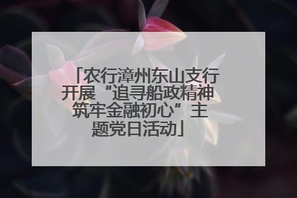农行漳州东山支行开展“追寻船政精神 筑牢金融初心”主题党日活动