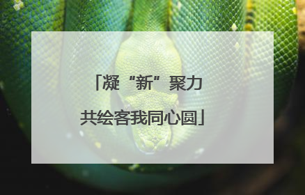 凝“新”聚力 共绘客我同心圆