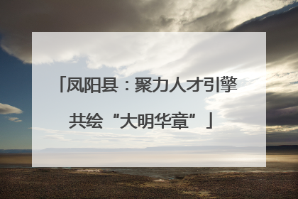 凤阳县：聚力人才引擎 共绘“大明华章”