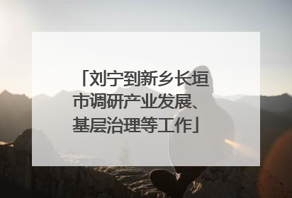 刘宁到新乡长垣市调研产业发展、基层治理等工作