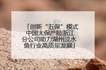 创新“五保”模式 中国太保产险浙江分公司助力湖州淡水鱼行业高质量发展