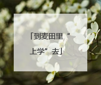 到麦田里“上学”去