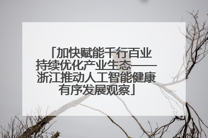 加快赋能千行百业 持续优化产业生态——浙江推动人工智能健康有序发展观察