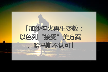 加沙停火再生变数：以色列“接受”美方案、哈马斯不认可