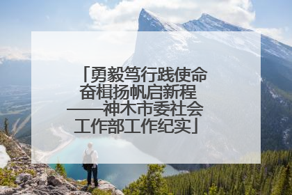 勇毅笃行践使命 奋楫扬帆启新程——神木市委社会工作部工作纪实