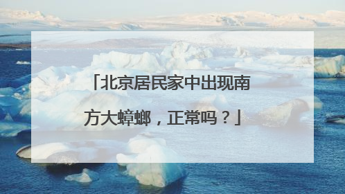 北京居民家中出现南方大蟑螂，正常吗？