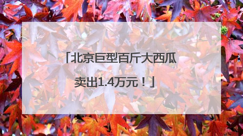 北京巨型百斤大西瓜卖出1.4万元！
