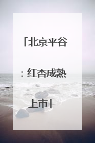 北京平谷：红杏成熟上市
