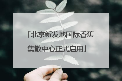 北京新发地国际香蕉集散中心正式启用