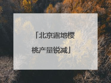 北京露地樱桃产量锐减