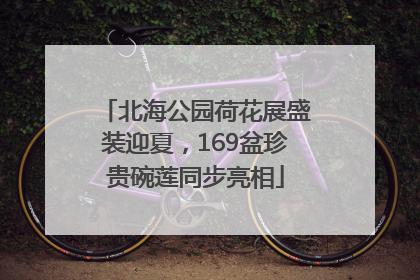 北海公园荷花展盛装迎夏，169盆珍贵碗莲同步亮相