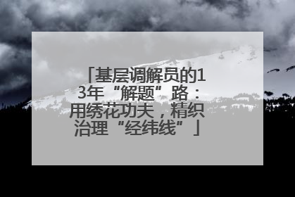 基层调解员的13年“解题”路：用绣花功夫，精织治理“经纬线”