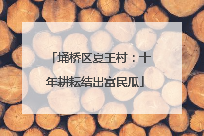 埇桥区夏王村：十年耕耘结出富民瓜