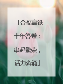 合福高铁十年答卷：串起繁荣，活力奔涌