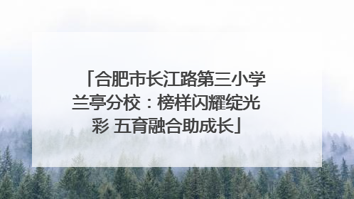 合肥市长江路第三小学兰亭分校：榜样闪耀绽光彩 五育融合助成长