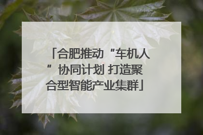 合肥推动“车机人”协同计划 打造聚合型智能产业集群