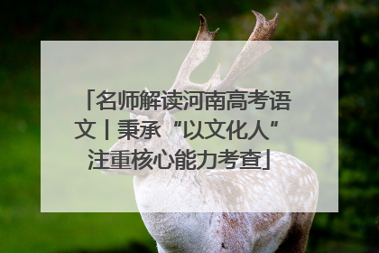 名师解读河南高考语文丨秉承“以文化人” 注重核心能力考查