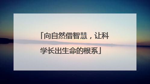 向自然借智慧，让科学长出生命的根系