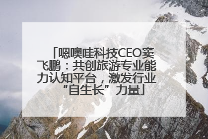 嗯噢哇科技CEO窦飞鹏：共创旅游专业能力认知平台，激发行业“自生长”力量
