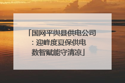 国网平舆县供电公司：迎峰度夏保供电  数智赋能守清凉