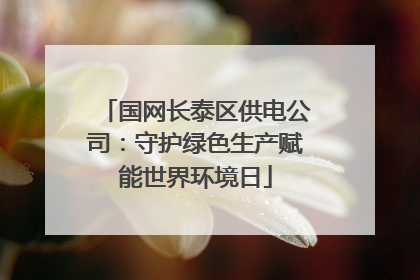 国网长泰区供电公司：守护绿色生产赋能世界环境日