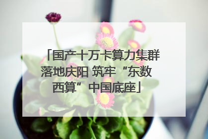 国产十万卡算力集群落地庆阳 筑牢“东数西算”中国底座