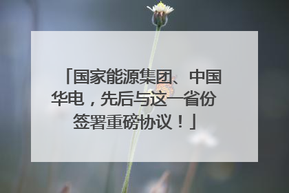 国家能源集团、中国华电，先后与这一省份签署重磅协议！