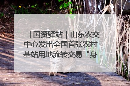 国资驿站｜山东农交中心发出全国首张农村基站用地流转交易“身份证”；“湾区跨境绿运通”上线