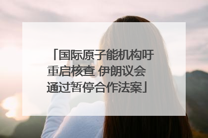 国际原子能机构吁重启核查 伊朗议会通过暂停合作法案
