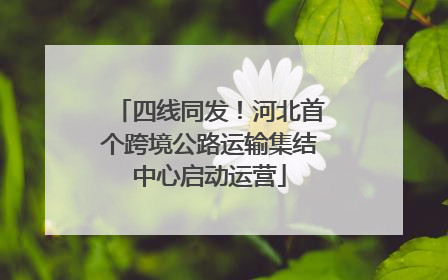 四线同发！河北首个跨境公路运输集结中心启动运营