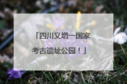 四川又增一国家考古遗址公园！