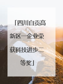 四川自贡高新区一企业荣获科技进步二等奖