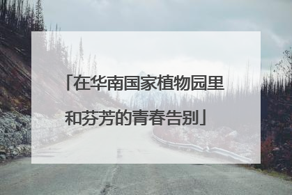 在华南国家植物园里和芬芳的青春告别