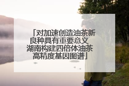 对加速创造油茶新良种具有重要意义 湖南构建四倍体油茶高精度基因图谱