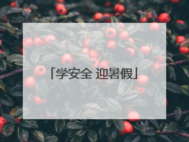 学安全 迎暑假