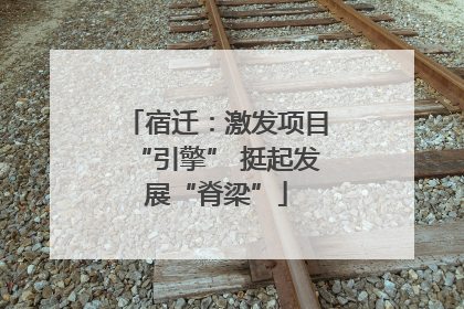 宿迁：激发项目“引擎” 挺起发展“脊梁”