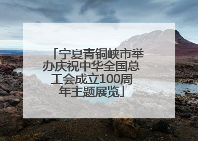 宁夏青铜峡市举办庆祝中华全国总工会成立100周年主题展览