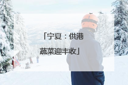 宁夏：供港蔬菜迎丰收