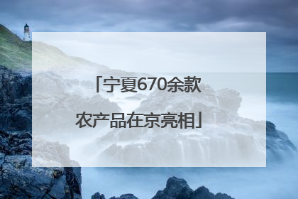 宁夏670余款农产品在京亮相