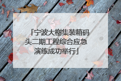 宁波大榭集装箱码头二期工程综合应急演练成功举行