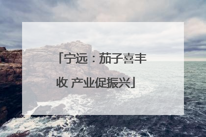 宁远：茄子喜丰收 产业促振兴